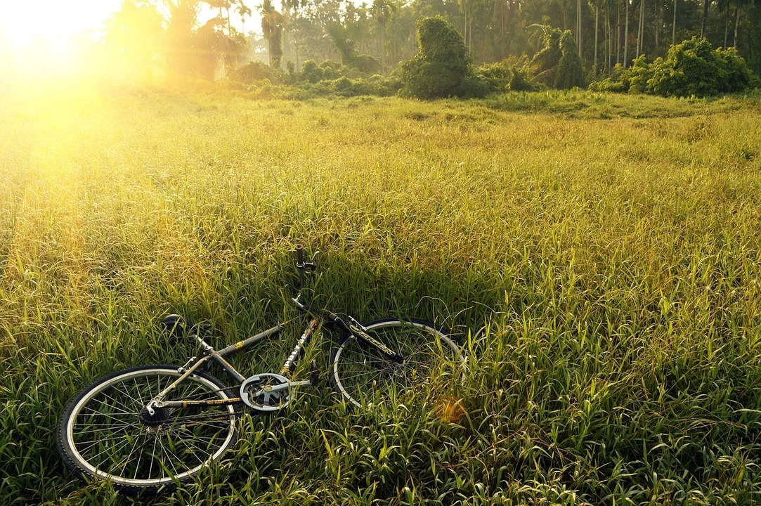 bike grass